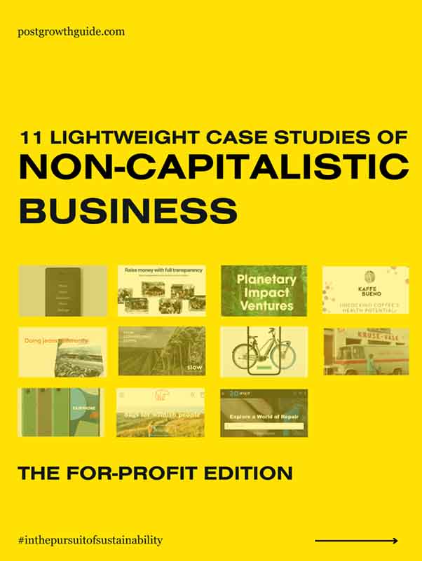 NON-CAPITALISTIC BUSINESS